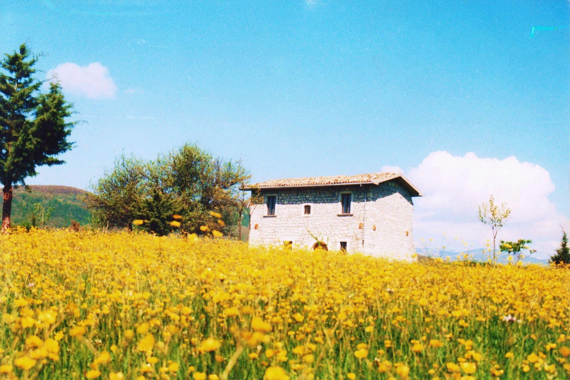 Casino Tonti Iarussi Vila Forlì del Sannio Exterior foto